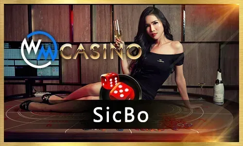 BMW55 Casino Online diverse game selection